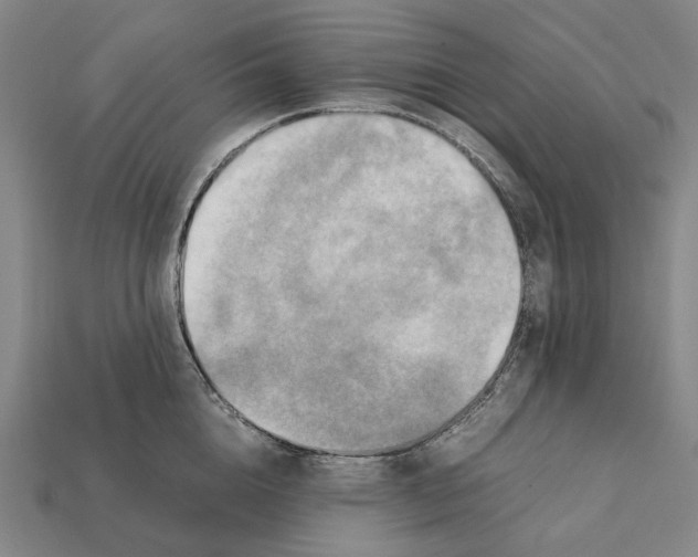 X0000112410856200909251454