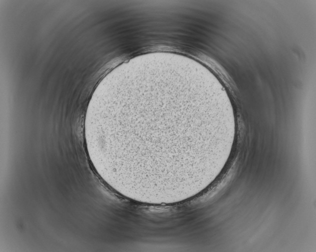 X0000112410857200909251454