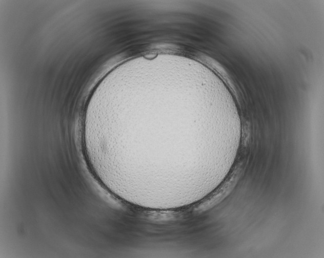 X0000112410859200909251454