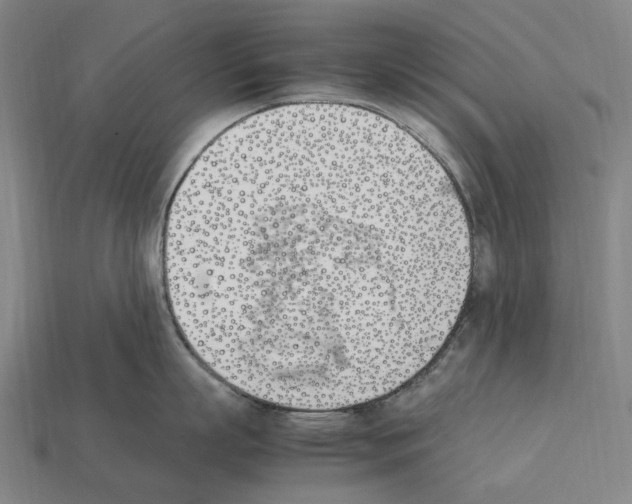 X0000112410863200909251454