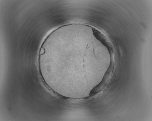 X0000112410864200909251454