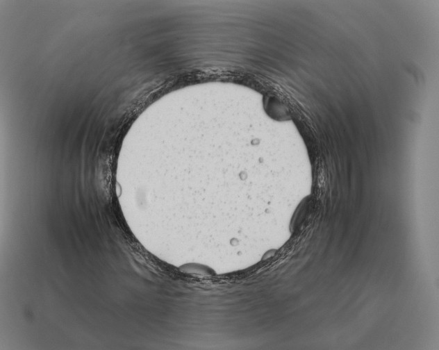 X0000112410868200909251454