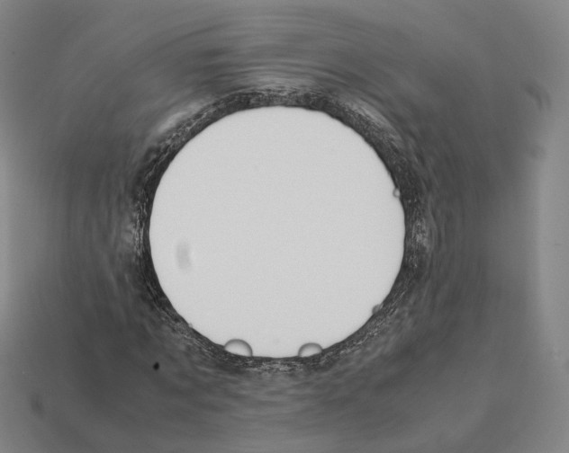 X0000112410869200909251454