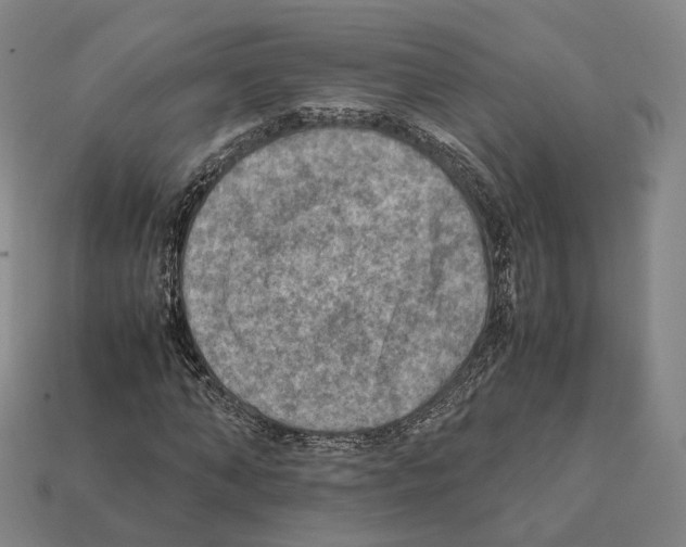 X0000112410870200909251454