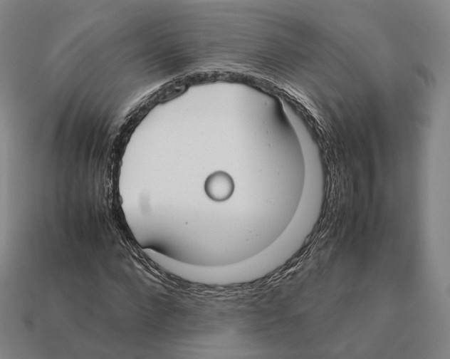 X0000112410872200909251454