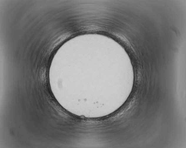 X0000112410873200909251454