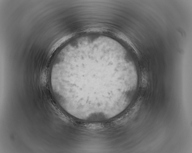 X0000112410874200909251454