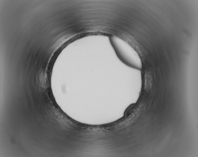 X0000112410876200909251454