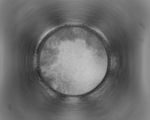 X0000112410878200909251454