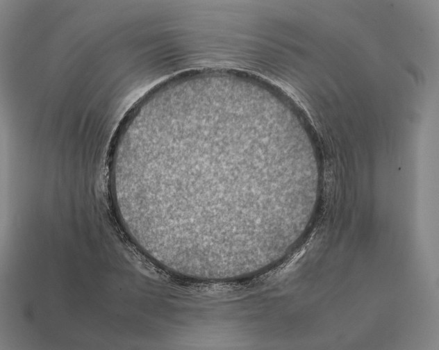 X0000112410879200909251454