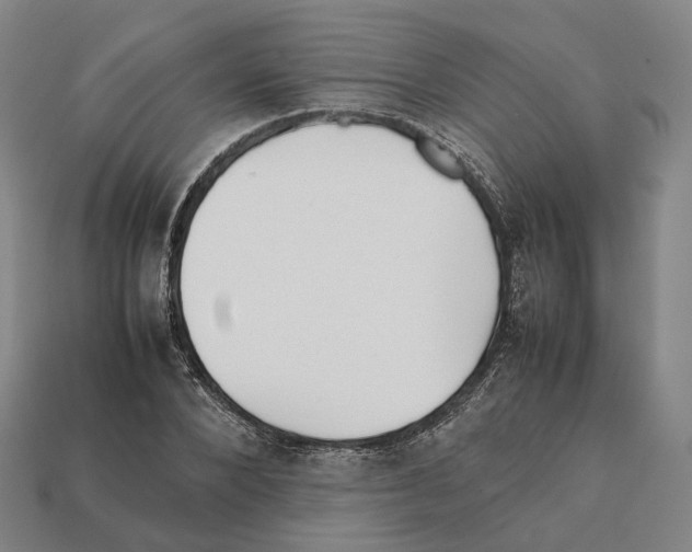 X0000112410880200909251454