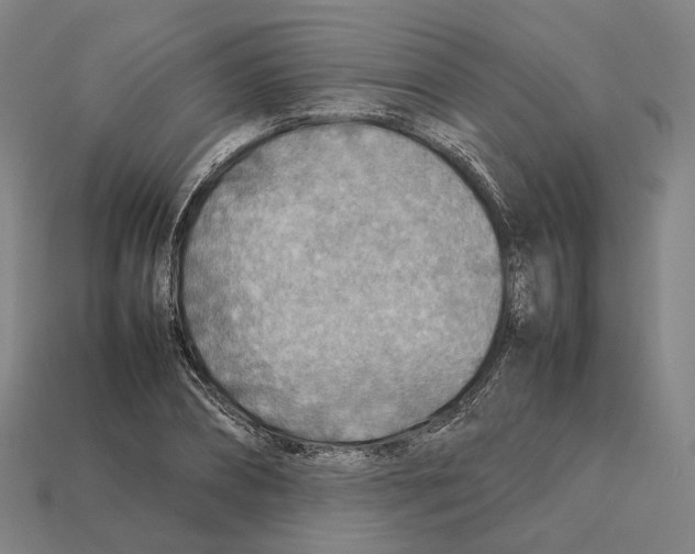 X0000112410882200909251453