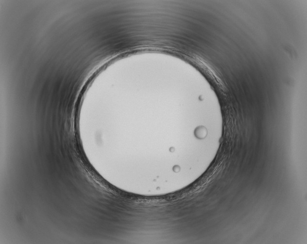 X0000112410884200909251453