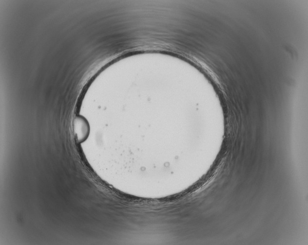 X0000112410885200909251453