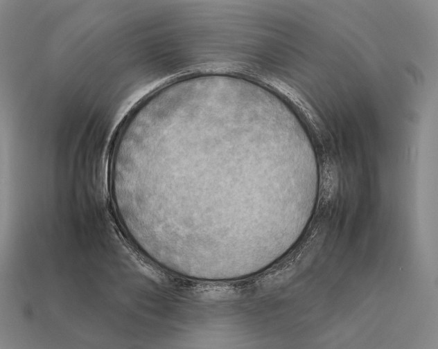 X0000112410886200909251453