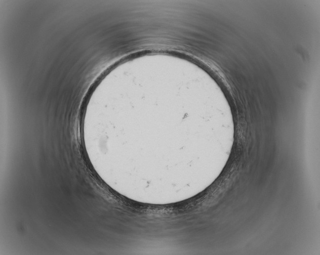 X0000112410887200909251453