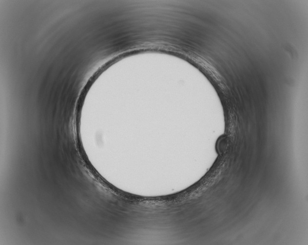 X0000112410888200909251453