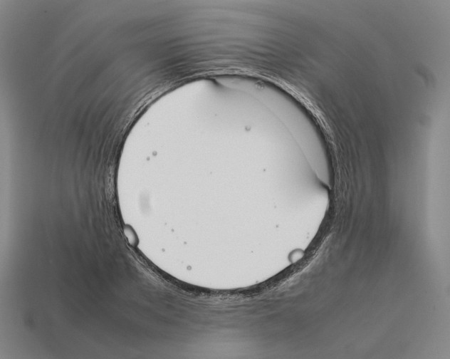 X0000112410889200909251453