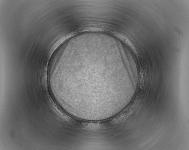 X0000112410890200909251453