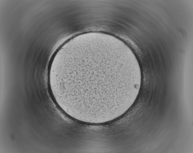 X0000112410894200909251453