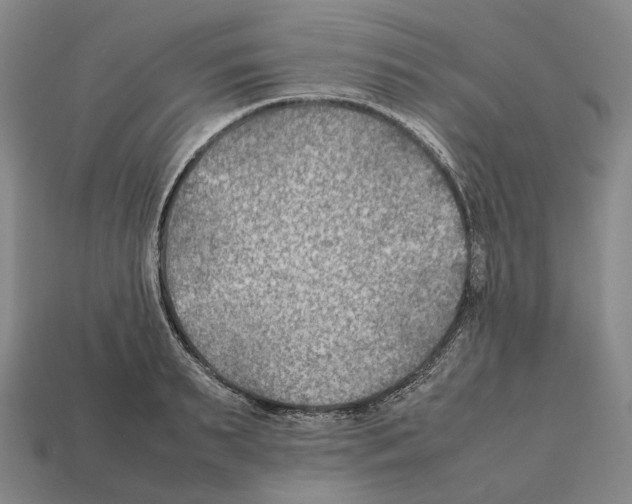 X0000112410895200909251453