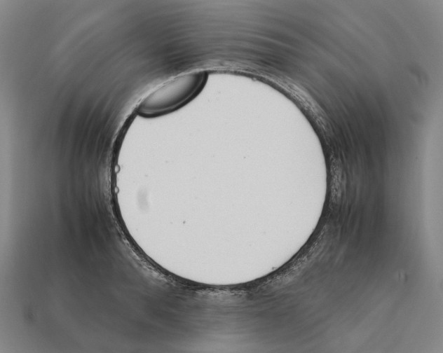 X0000112410896200909251453