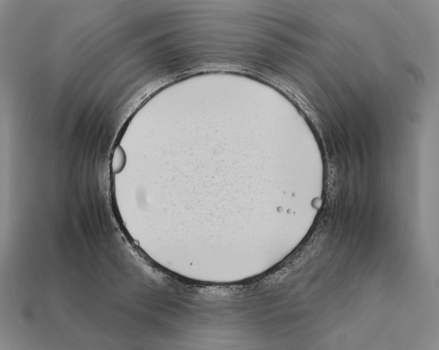 X0000112410898200909251453