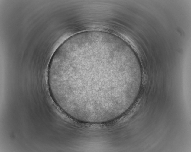 X0000112410899200909251453