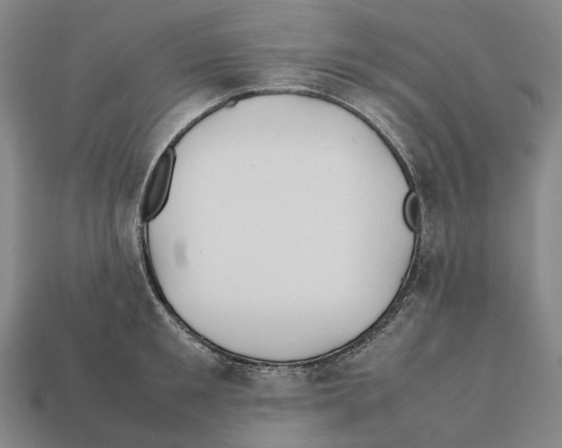 X0000112410901200909251453
