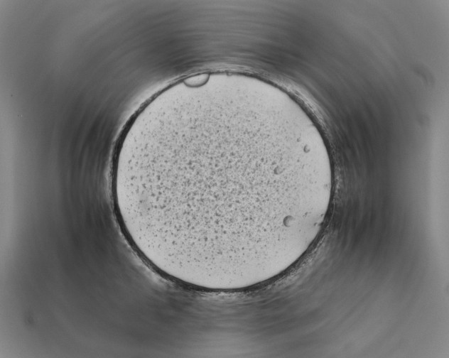 X0000112410902200909251453