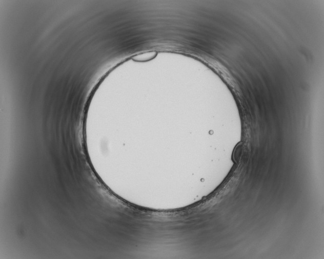 X0000112410904200909251453