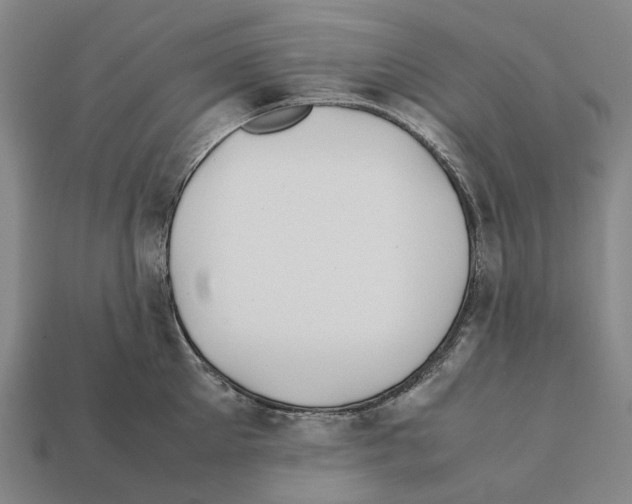 X0000112410905200909251453