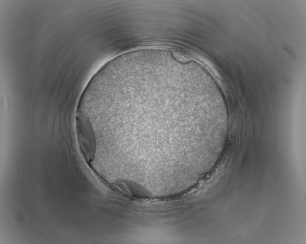 X0000112410907200909251453