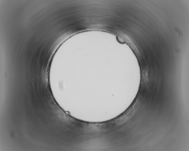 X0000112410908200909251453
