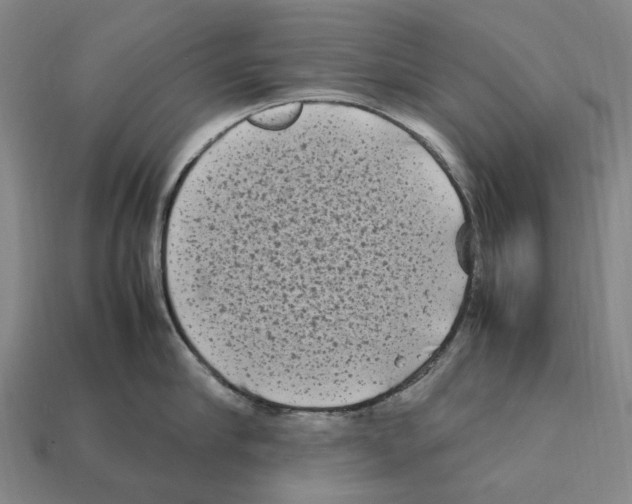 X0000112410910200909251453