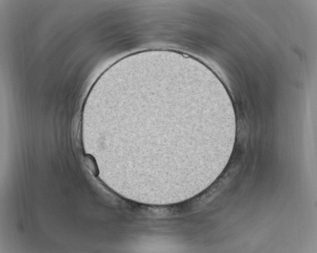 X0000112410911200909251453
