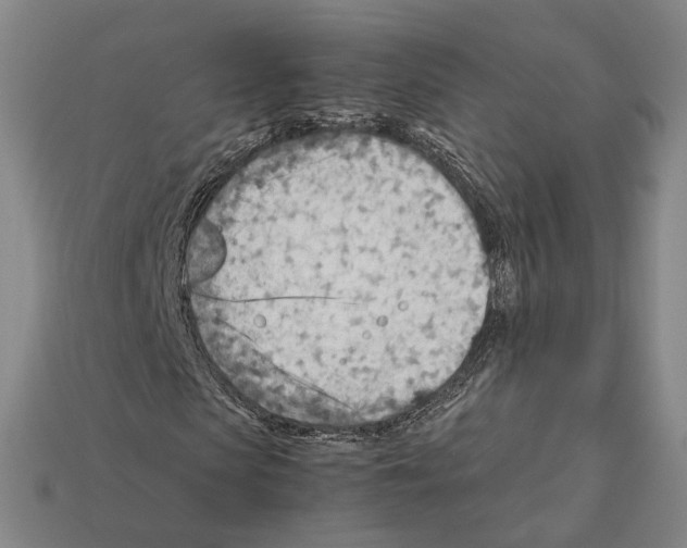 X0000112410913200909251452