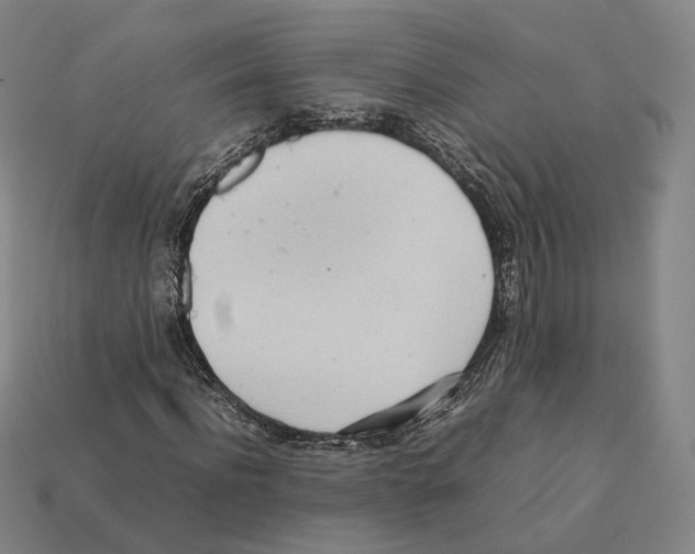 X0000112410916200909251453