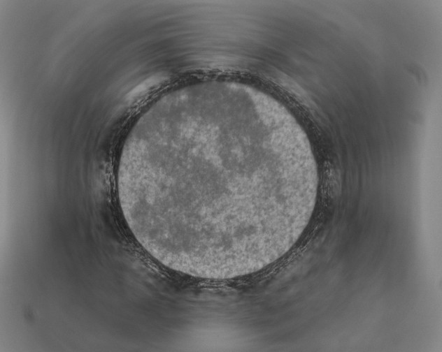 X0000112410918200909251453