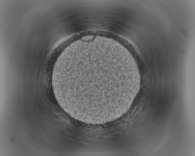 X0000112410919200909251453