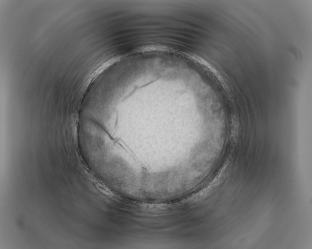 X0000112410921200909251453