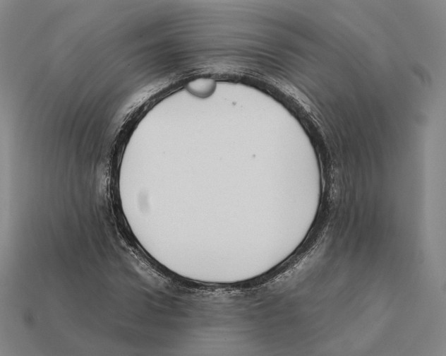 X0000112410922200909251453