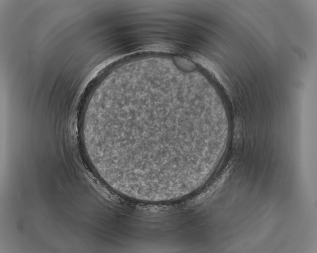X0000112410923200909251453