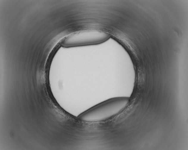 X0000112410924200909251453