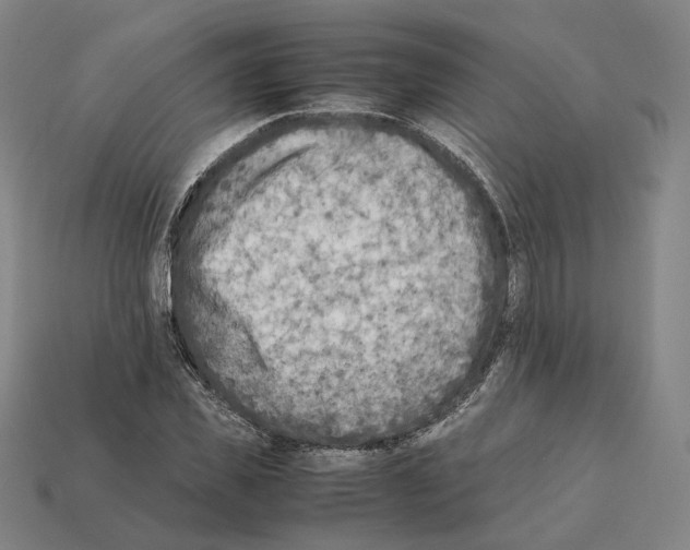 X0000112410925200909251453