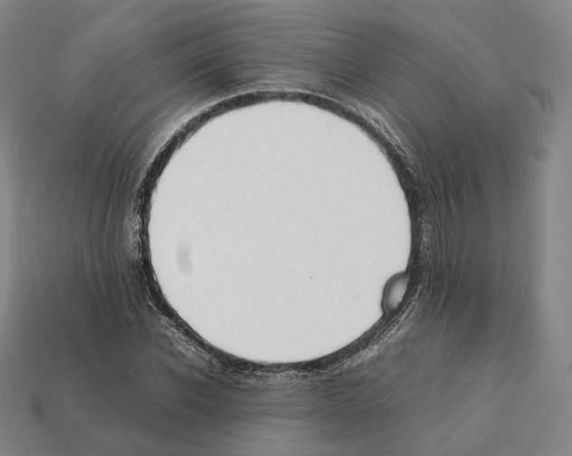 X0000112410926200909251453