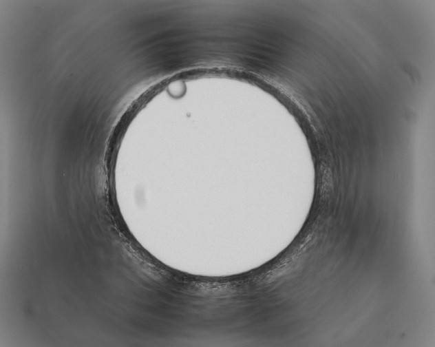 X0000112410927200909251453