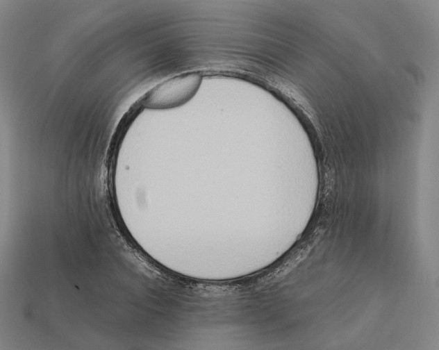 X0000112410928200909251453