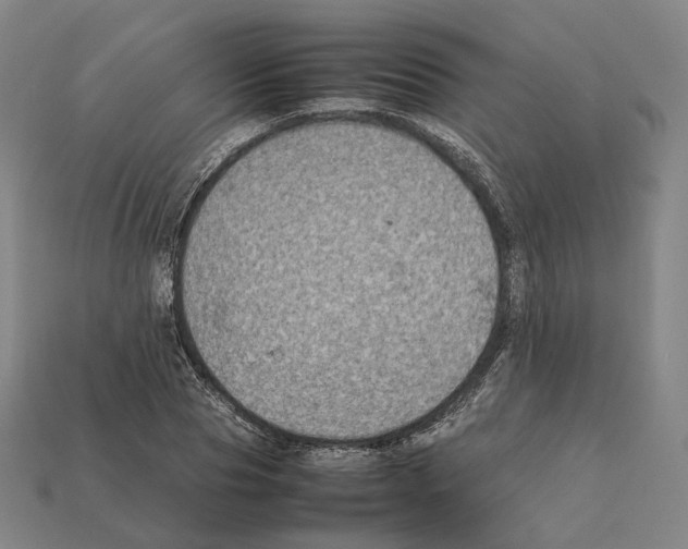 X0000112410929200909251453