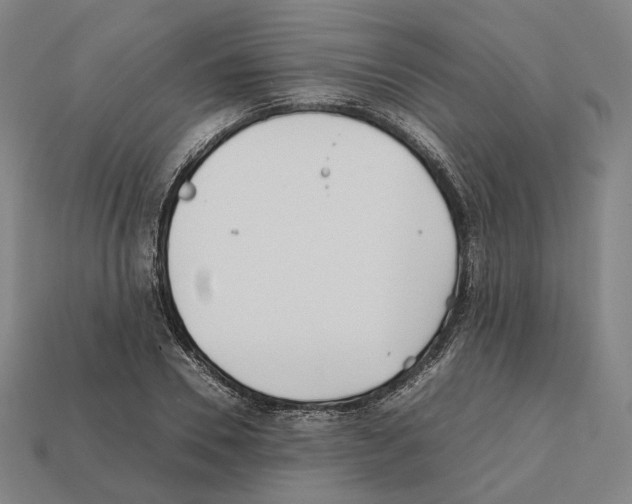 X0000112410930200909251453